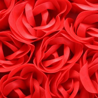 RÓŻANE IMPRESJE DO KĄPIELI DZIEŃ KOBIET DZIEWCZYNY