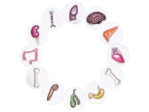 GRA ZRĘCZNOŚCIOWA SZALONY DOKTOR OPERACJA PLANSZA