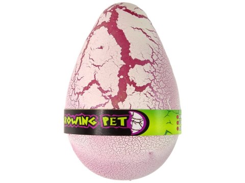 ROSNĄCE JAJO DINOZAURA 12 CM