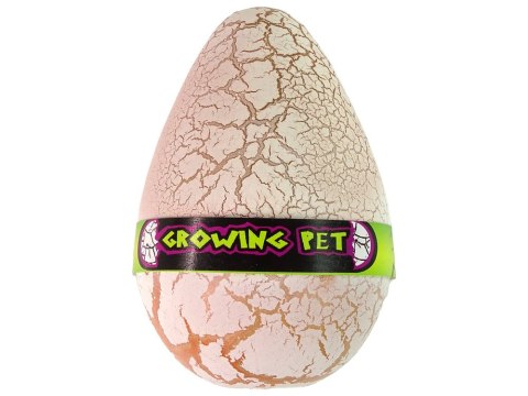 ROSNĄCE JAJO DINOZAURA 12 CM