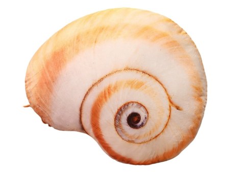 MASKOTKA PLUSZOWA MUSZLA ŚLIMAKA PODUSZKA 50 X 40 CM