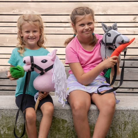 PLUSZOWE WARZYWA OWOCE MARCHEW JABŁKO CUKIER DLA HOBBY HORSE - SKIPPI