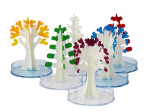 ZESTAW EDUKACYJNY KREATYWNY DO HODOWLI DRZEWEK KRYSTALICZNYCH