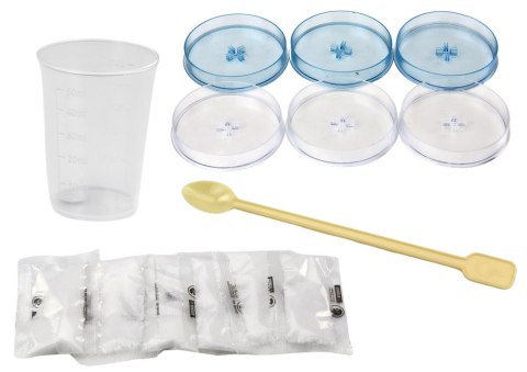 ZESTAW EDUKACYJNY KREATYWNY DO HODOWLI DRZEWEK KRYSTALICZNYCH