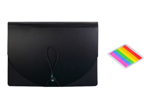 ORGANIZER TECZKA Z PRZEGRÓDKAMI KOLOROWA ZAKŁADKI DOKUMENTY A4