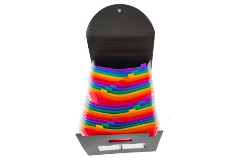 ORGANIZER TECZKA Z PRZEGRÓDKAMI KOLOROWA ZAKŁADKI DOKUMENTY A4