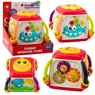 KOSTKA INTERAKTYWNA EDUKACYJNA DLA MALUCHA KACZUSZKA KOLOROWA