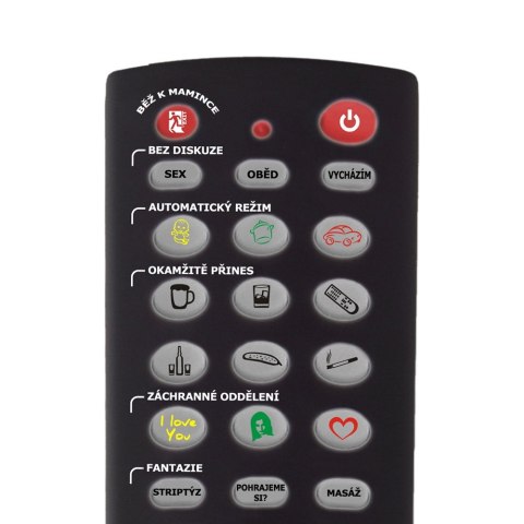 GADAJĄCY PILOT - STERUJ KOBIETĄ! (CZ)