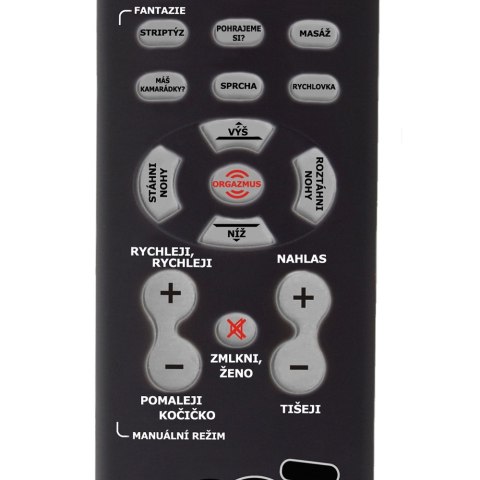 GADAJĄCY PILOT - STERUJ KOBIETĄ! (CZ)