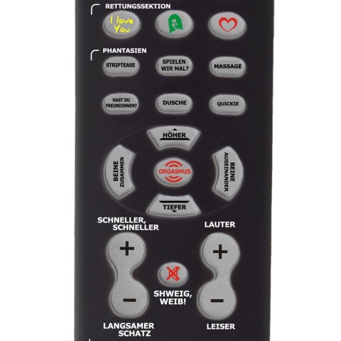 GADAJĄCY PILOT - STERUJ KOBIETĄ! (DE)