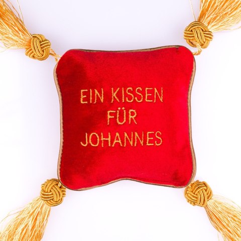 PODUSZKA DLA WACUSIA (DE)