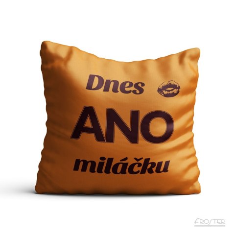 POSZEWKA PREZENTOWA - TAK/NIE (CZ)