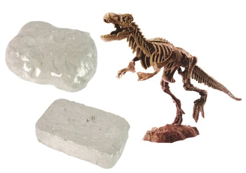 ZESTAW ARCHEOLOGICZNY 2W1 DINOZAUR SZKIELET TYRANOZAUR