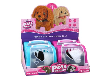 PANDA INTERAKTYWNA PLUSZOWA W TRANSPORTERZE RÓŻOWY NIEBIESKI