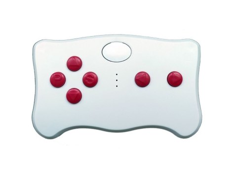 PILOT TX10 DO POJAZDU NA AKUMULATOR 2.4G Z MODUŁEM FCC