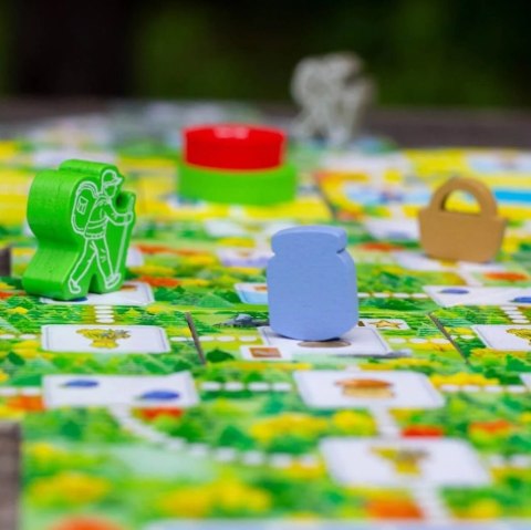 Gra rodzinna Pięć Szczytów Górskie Wędrówki Trefl 02517