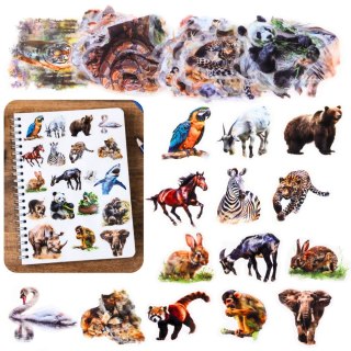 Zestaw Naklejki Z Dzikimi Zwierzętami Śliskie Przeźroczyste 50 szt.