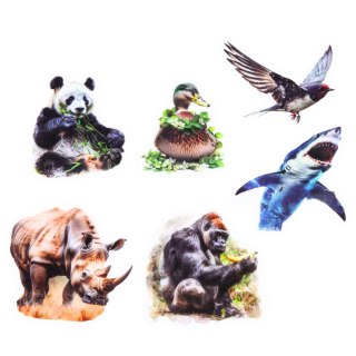 Zestaw Naklejki Z Dzikimi Zwierzętami Śliskie Przeźroczyste 50 szt.
