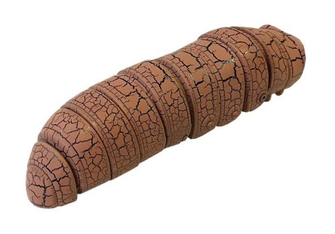 GĄSIENICA NA PODCZERWIEŃ OMIJA PRZESZKODY BRĄZOWA