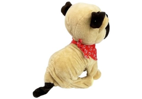 INTERAKTYWNY PIESEK SZCZEKA RUSZA OGONKIEM SENSORY