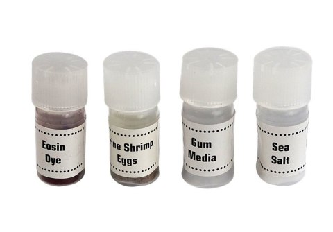 MIKROSKOP DZIECIĘCY WALIZKA NAUKA 300X 600X 1200X