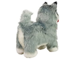 INTERAKTYWNY PIES HUSKY PORUSZA SIĘ, SZCZEKA