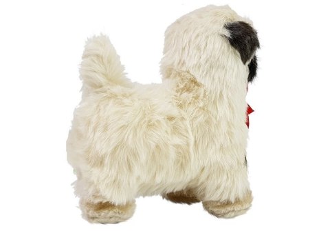 INTERAKTYWNY PIES MOPS PORUSZA SIĘ, SZCZEKA