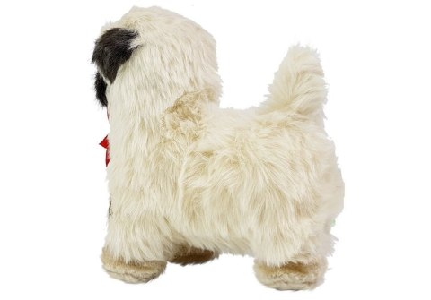 INTERAKTYWNY PIES MOPS PORUSZA SIĘ, SZCZEKA