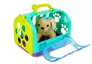 ZESTAW WETERYNARZ Z PIESKIEM I TRANSPORTEREM